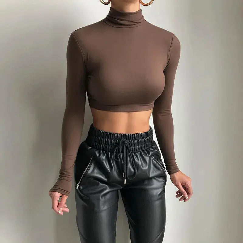 Solid Long Sleeve Turtleneck Crop Top 