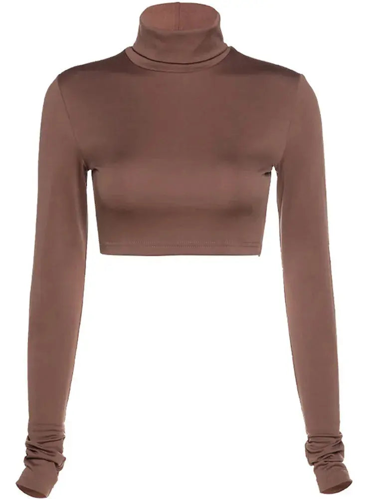 Solid Long Sleeve Turtleneck Crop Top 